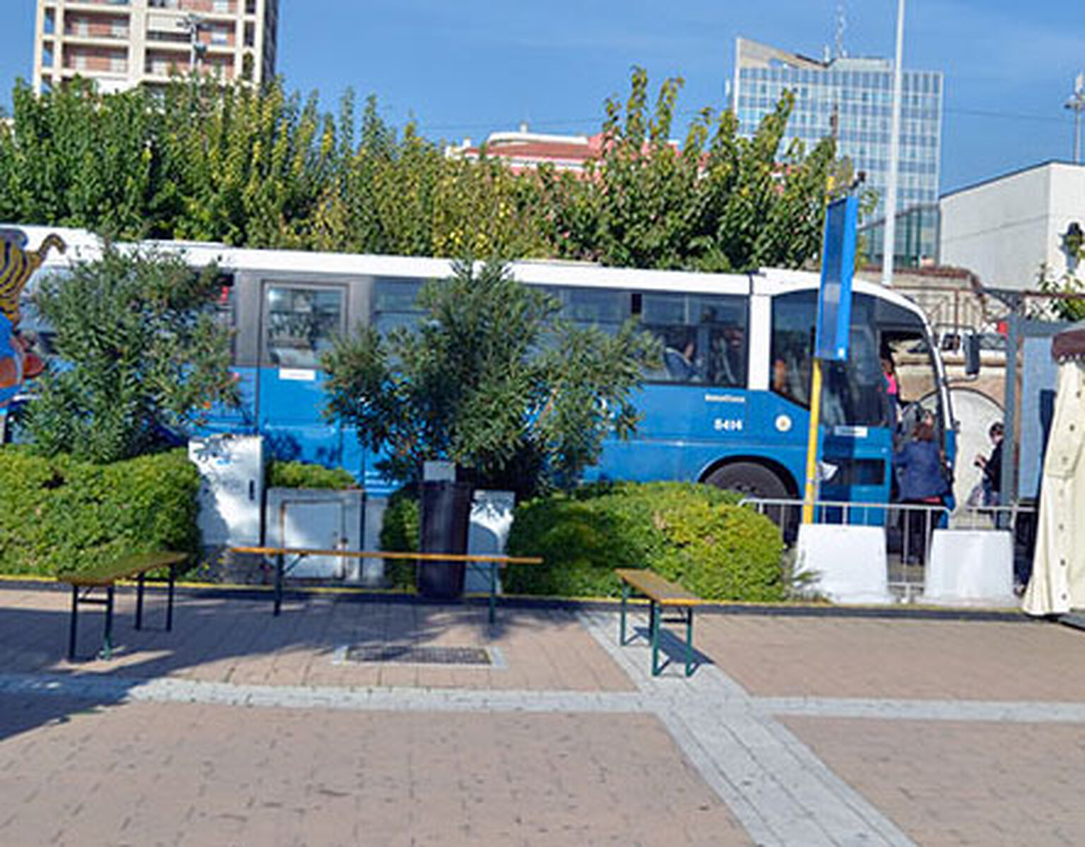 bus from Civitavecchia to Rome